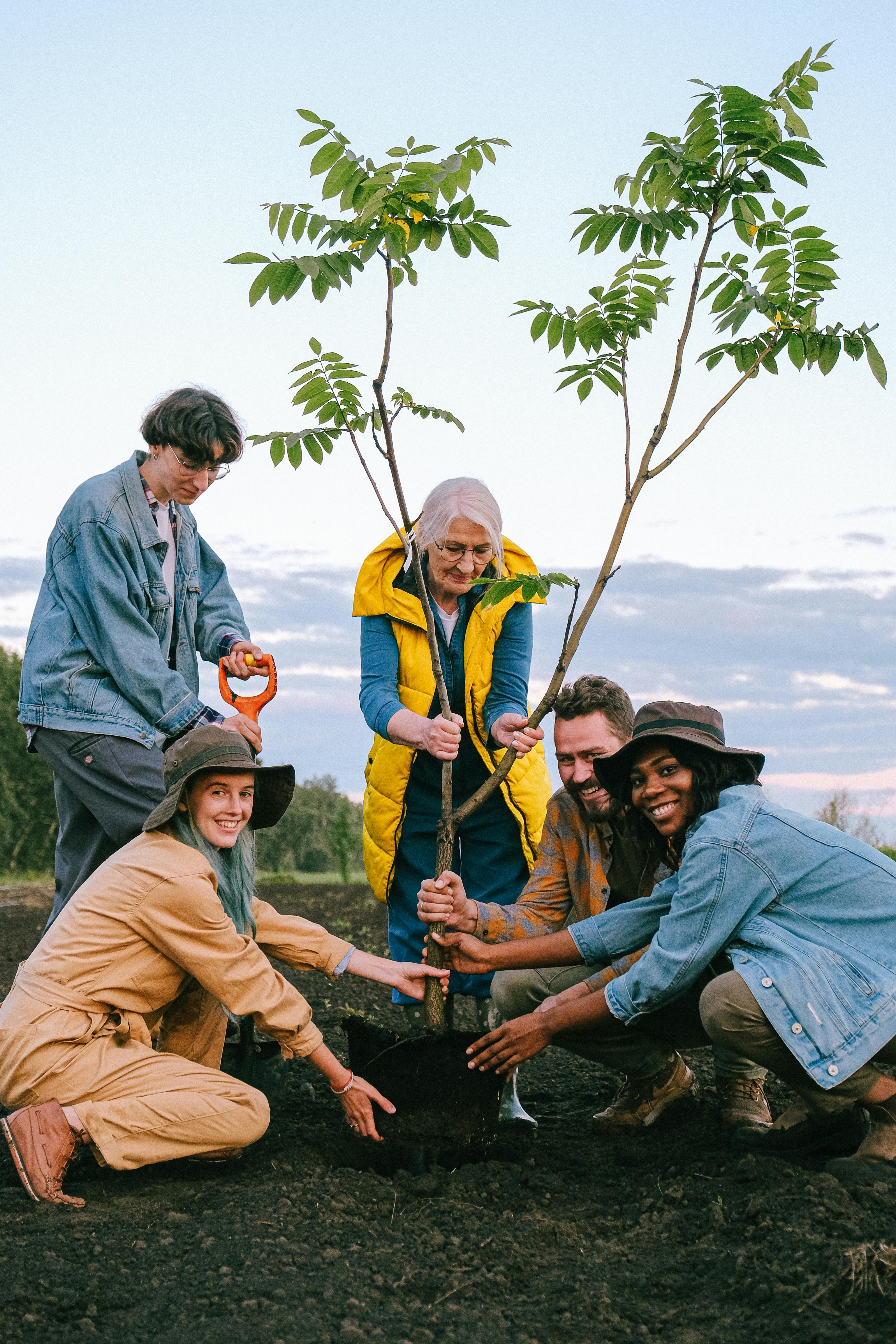 people planting tree